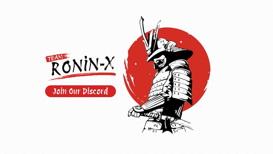 Team RONiN-X